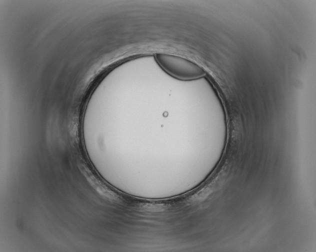 X0000112051499200908250946