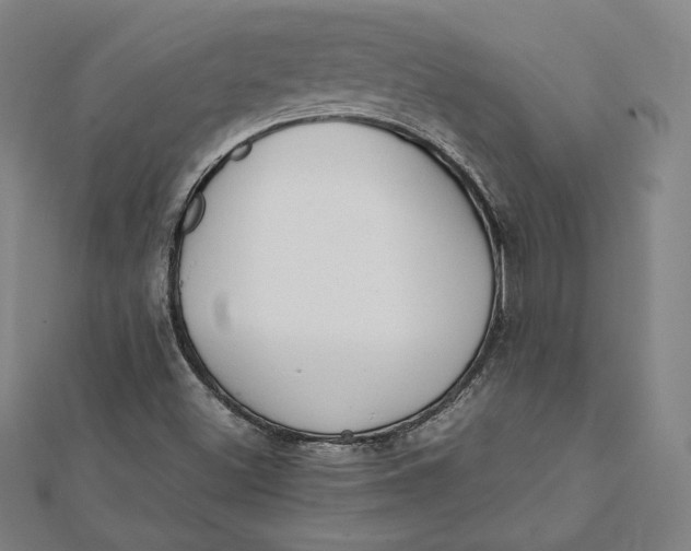 X0000112051500200908250946