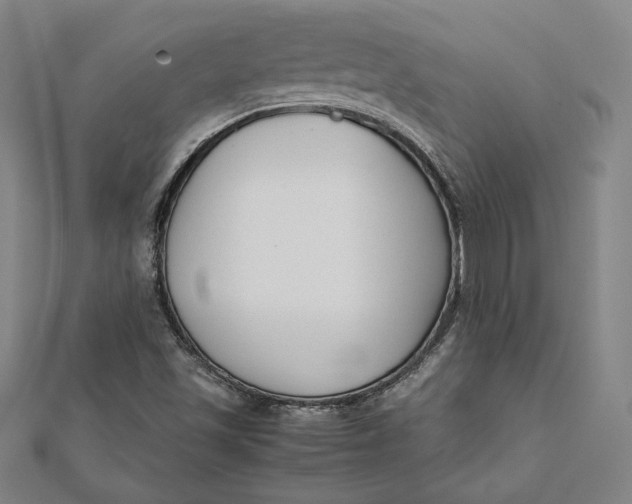 X0000112051501200908250946