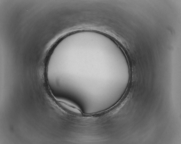 X0000112051502200908250946