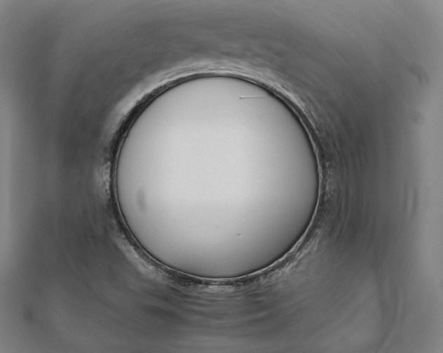 X0000112051503200908250946