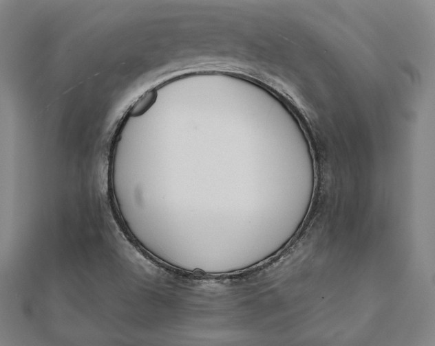 X0000112051504200908250946