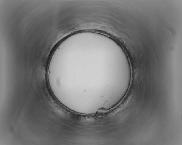 X0000112051505200908250946