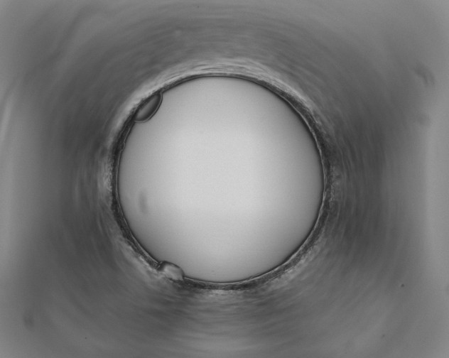 X0000112051506200908250946