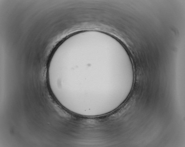 X0000112051507200908250946