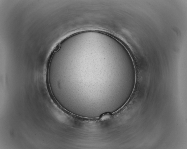 X0000112051508200908250947