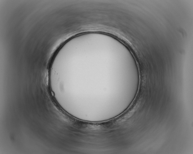 X0000112051509200908250947