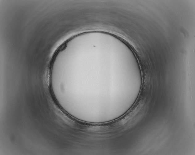 X0000112051510200908250947