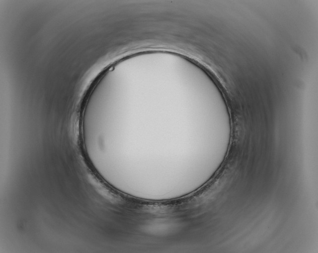 X0000112051511200908250947