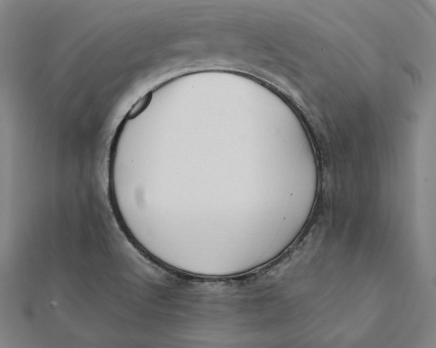 X0000112051512200908250947