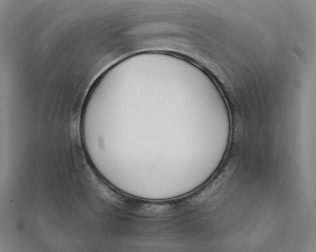 X0000112051513200908250947