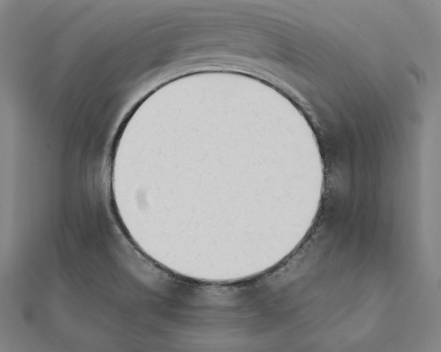 X0000112051514200908250947