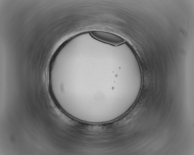 X0000112051515200908250947