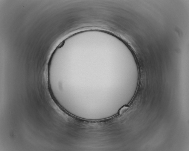 X0000112051516200908250947