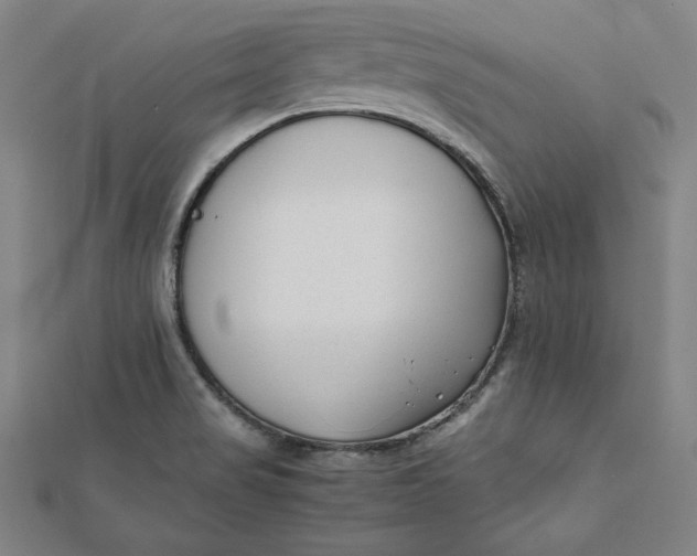 X0000112051517200908250947