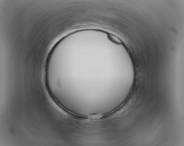 X0000112051518200908250947