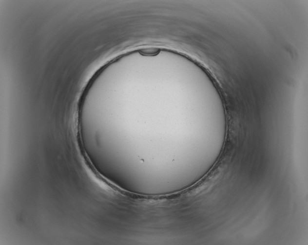 X0000112051519200908250947