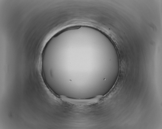 X0000112051520200908250947