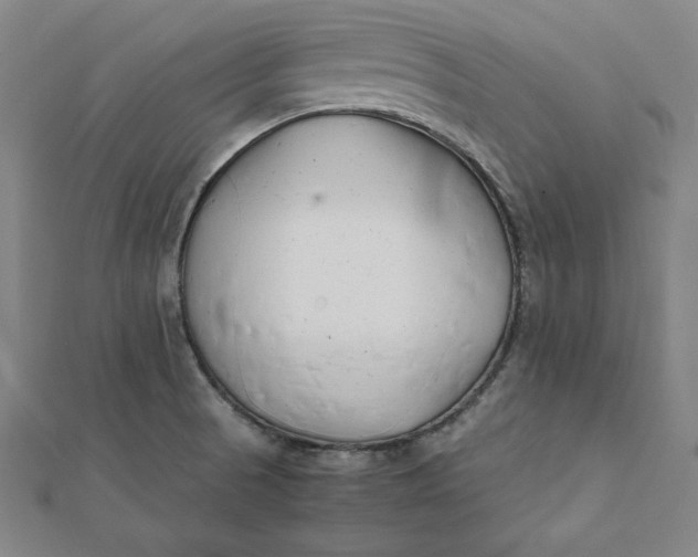 X0000112051521200908250947