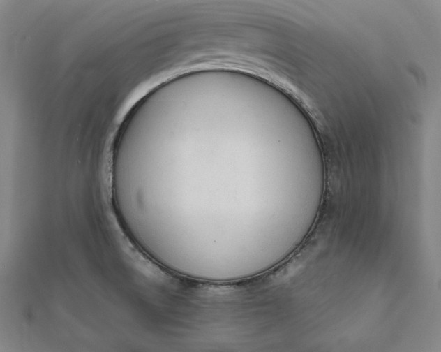 X0000112051522200908250947