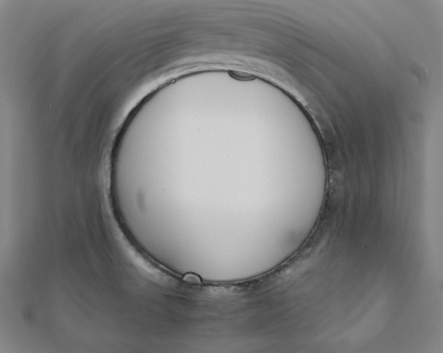 X0000112051523200908250947