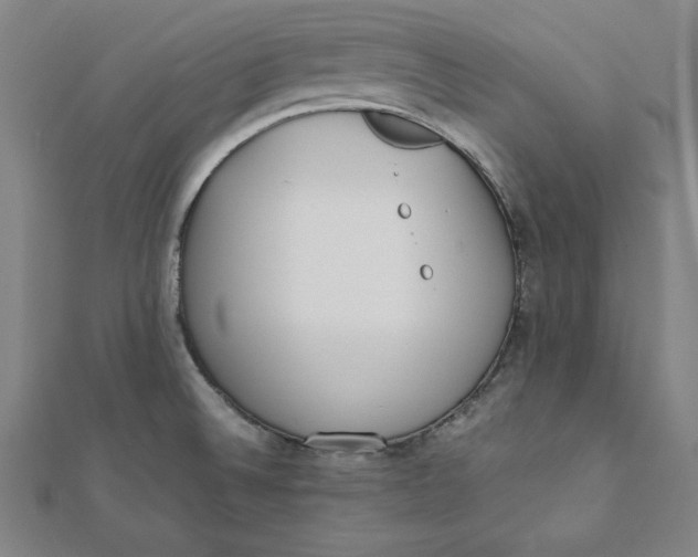 X0000112051524200908250947