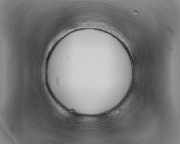 X0000112051525200908250947