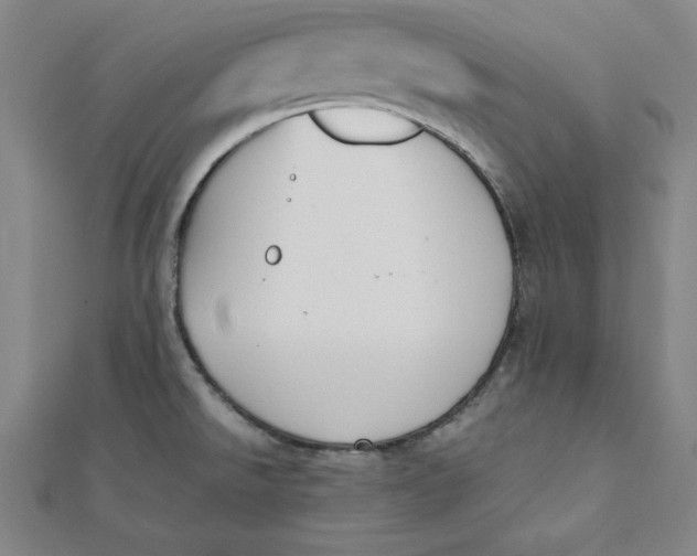 X0000112051526200908250947