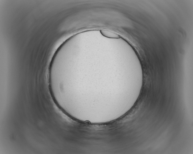 X0000112051527200908250947