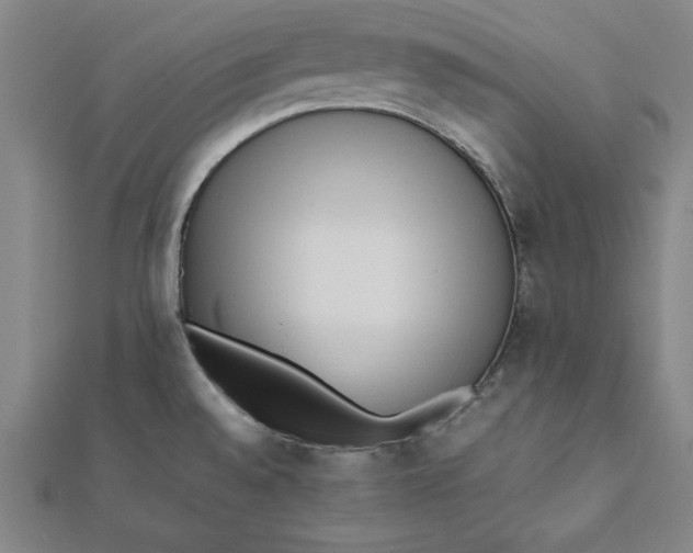 X0000112051528200908250947