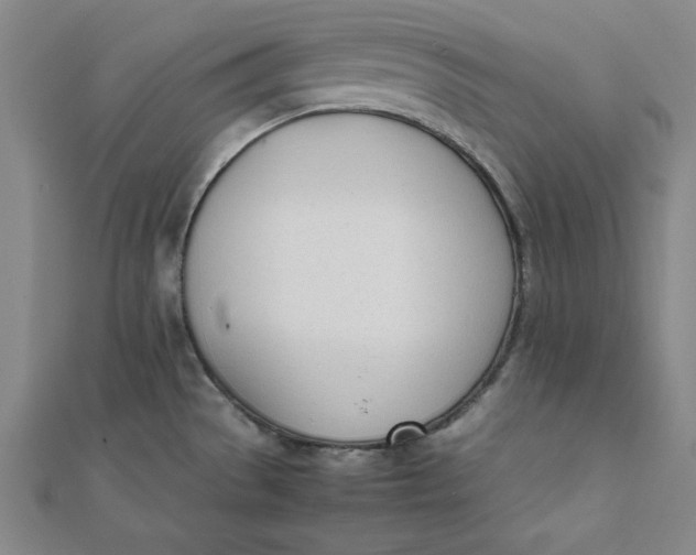 X0000112051529200908250947