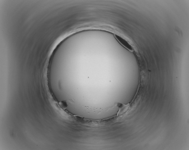 X0000112051530200908250947