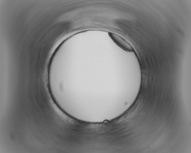 X0000112051531200908250947