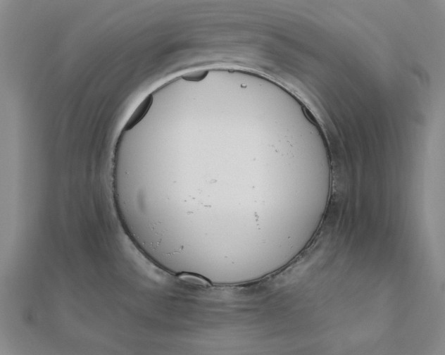 X0000112051532200908250947