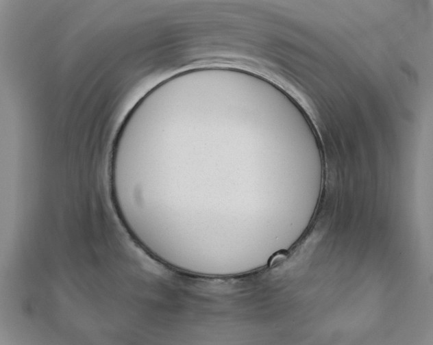 X0000112051533200908250947