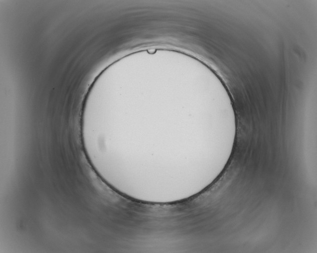 X0000112051534200908250947