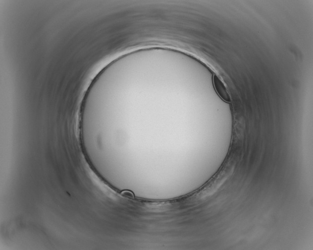 X0000112051535200908250947