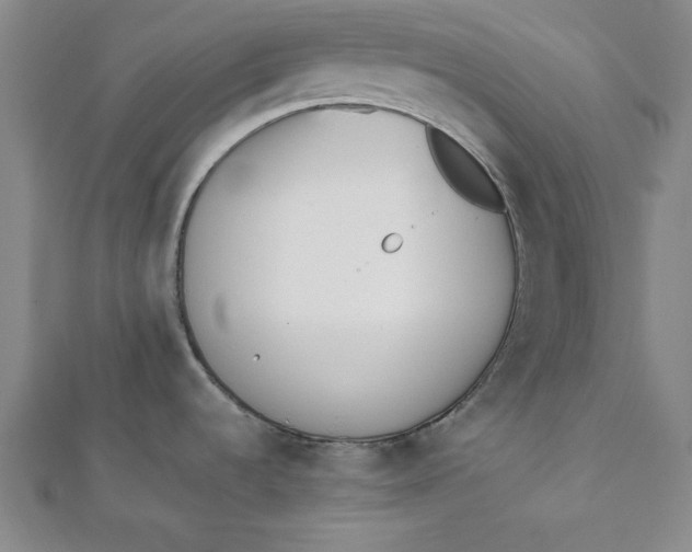 X0000112051536200908250947