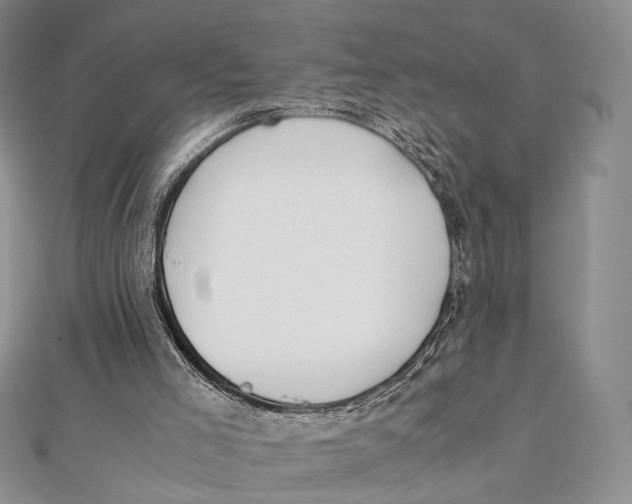 X0000112050005200909010951