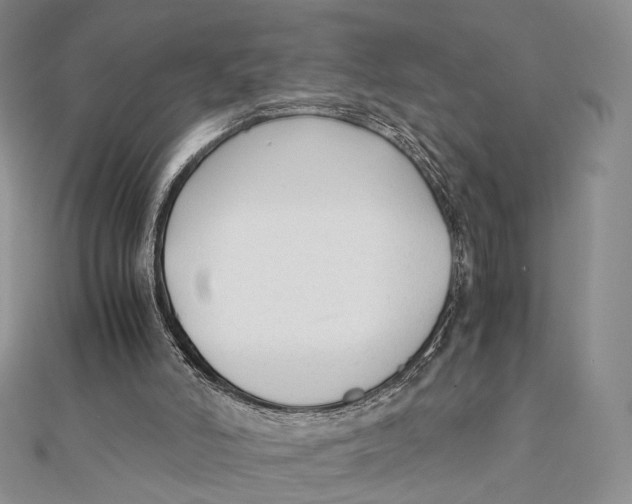 X0000112050006200909010951