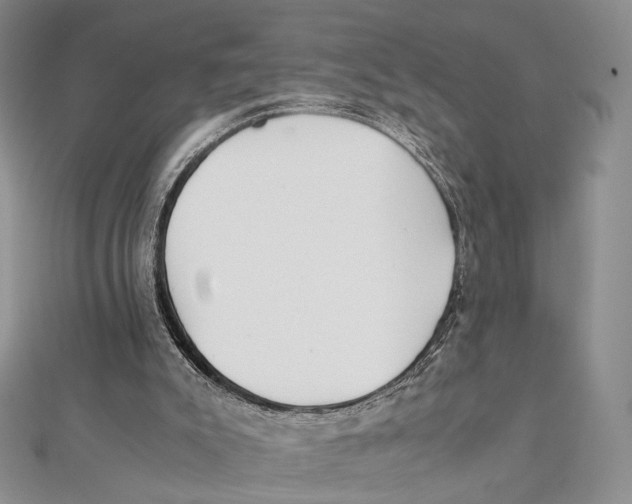 X0000112050007200909010951