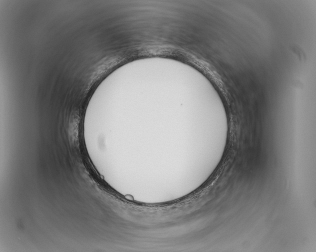 X0000112050010200909010951