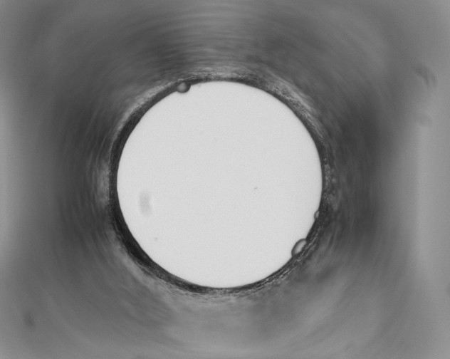 X0000112050012200909010951