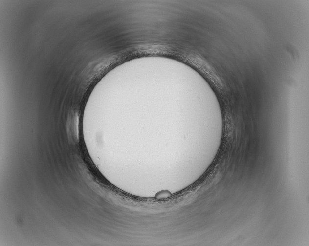 X0000112050014200909010951