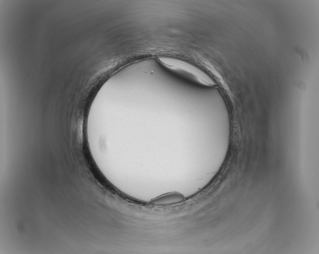 X0000112050019200909010951