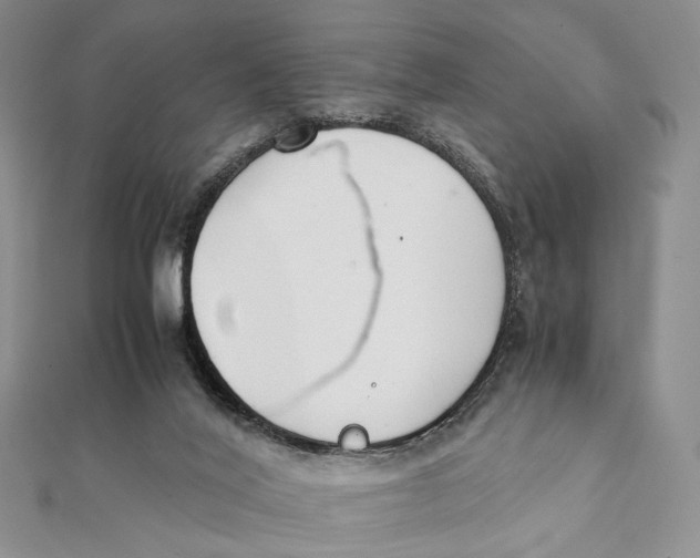 X0000112050020200909010951