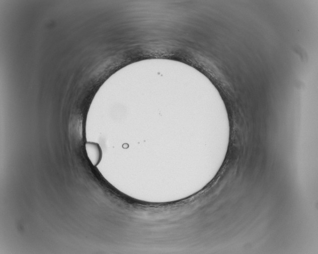 X0000112050021200909010951