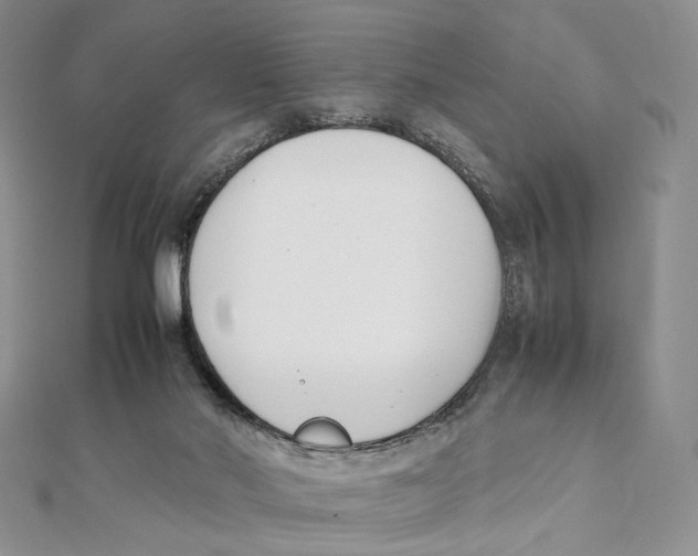 X0000112050022200909010951