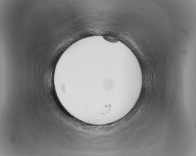 X0000112050023200909010951