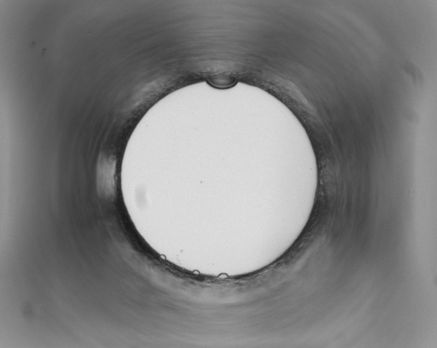 X0000112050024200909010951